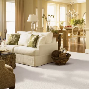 Living Room Carpet Flooring | Affordable Flooring Warehouse