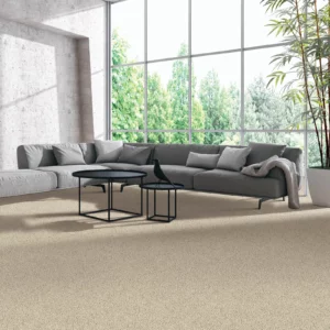 Living Room Carpet | Affordable Flooring Warehouse