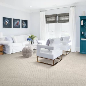 Luxury Living Room Carpet | Affordable Flooring Warehouse