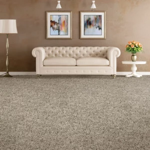 Carpet Floor | Affordable Flooring Warehouse