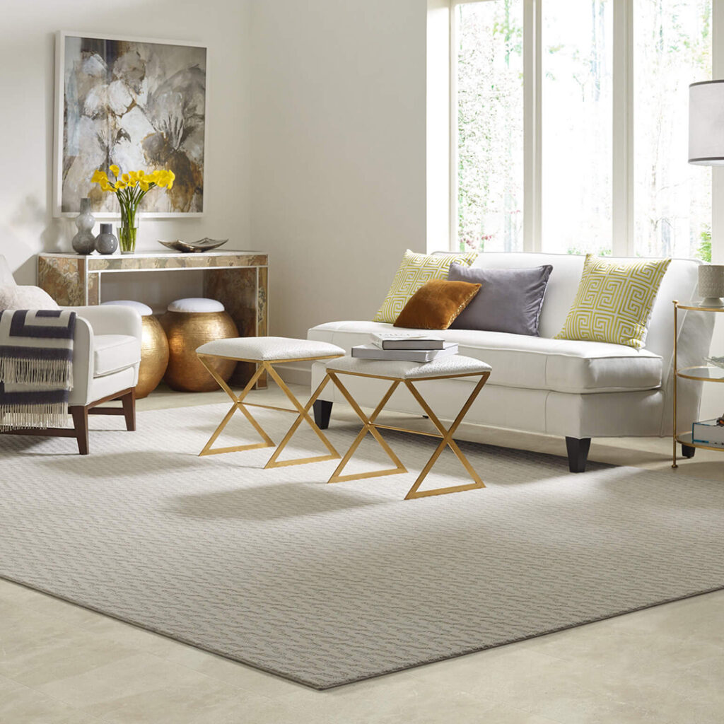 Area Rug | Affordable Flooring Warehouse