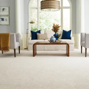Carpet in living room | Affordable Flooring Warehouse