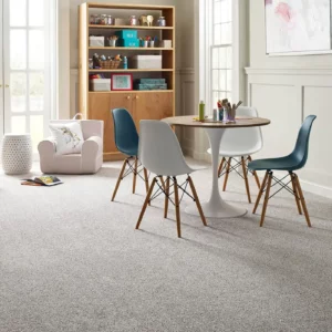 Kids playroom Carpet | Affordable Flooring Warehouse