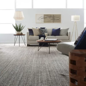 Carpet in a modern living room | Affordable Flooring Warehouse