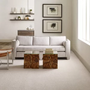 living room Carpet | Affordable Flooring Warehouse